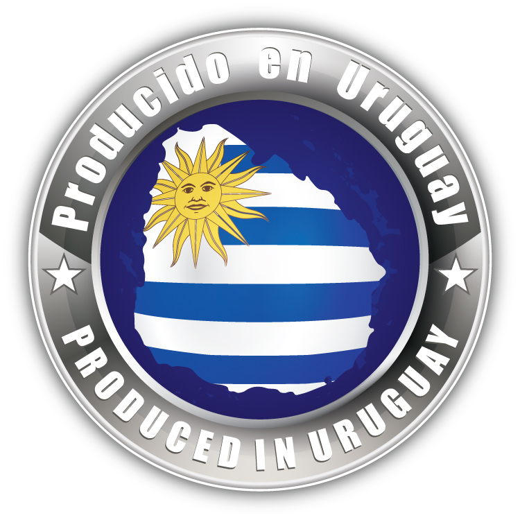 Uruguay Map World Flag Silver Label Car Bumper Sticker Decal - Picture 1 of 1