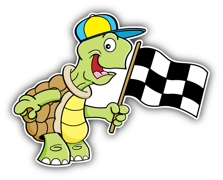 Turtle Checkered Flag Car Bumper Sticker Decal | eBay